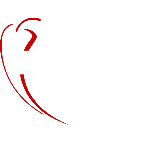 mexicanexperience